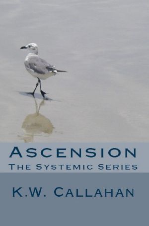 [The Systemic Series 05] • Ascension